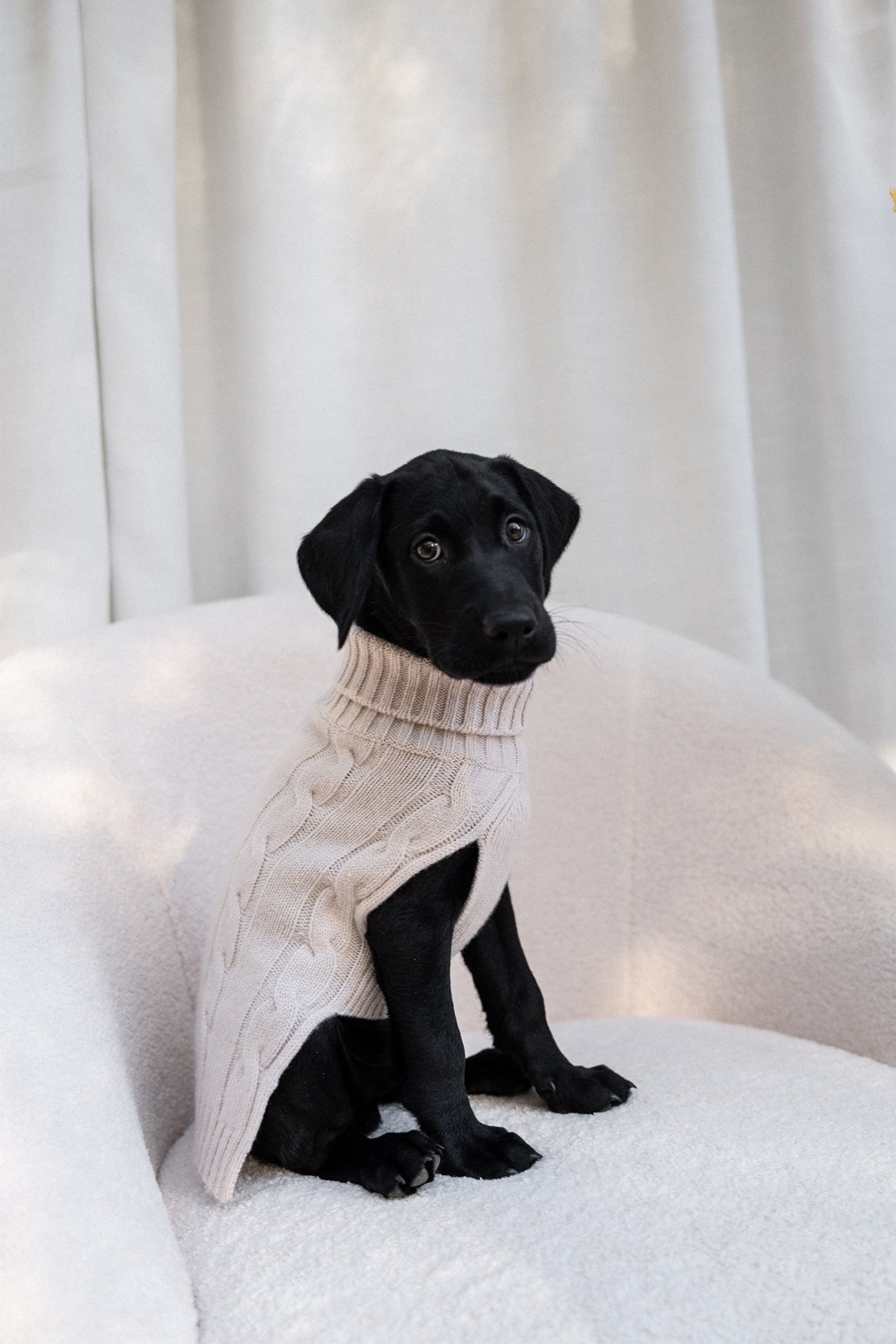 CABLE DOG SWEATER