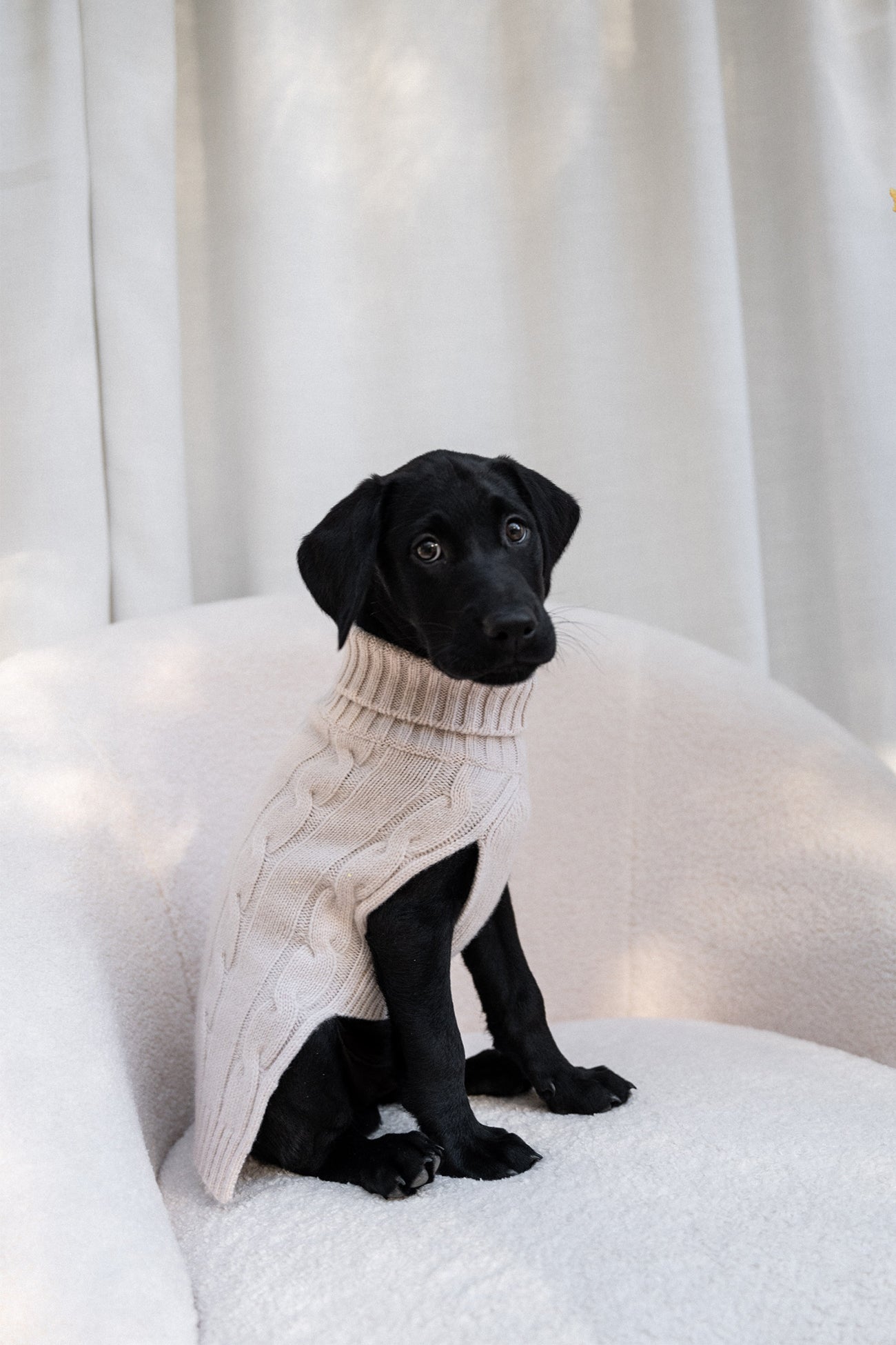 Cable Dog Sweater - Pink | Naked Cashmere