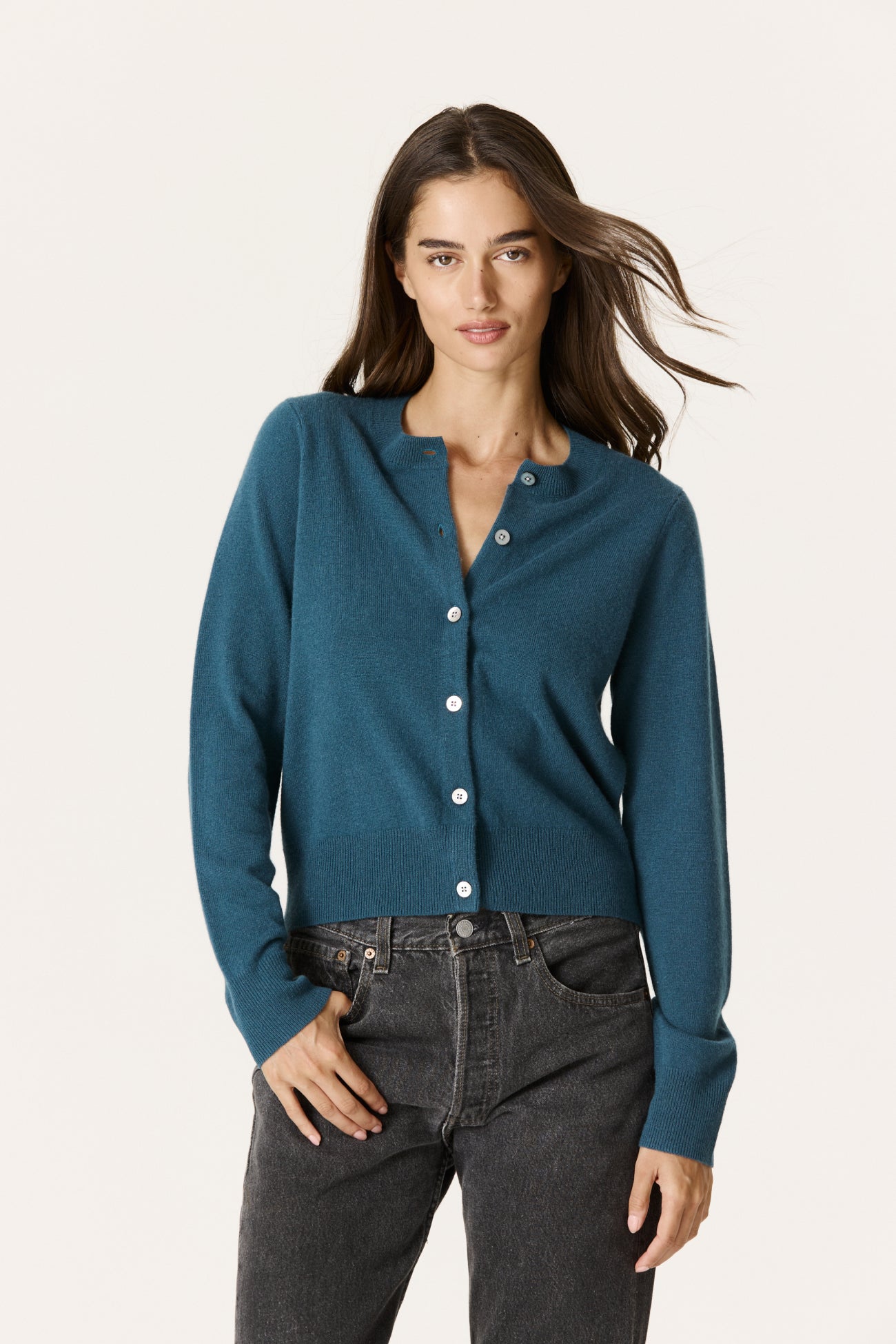 FRENCH TEAL