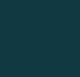FRENCH TEAL