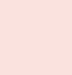 ROSETTE PINK